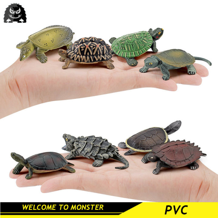 Simulation of amphibian and reptile turtle model Chinese turtle