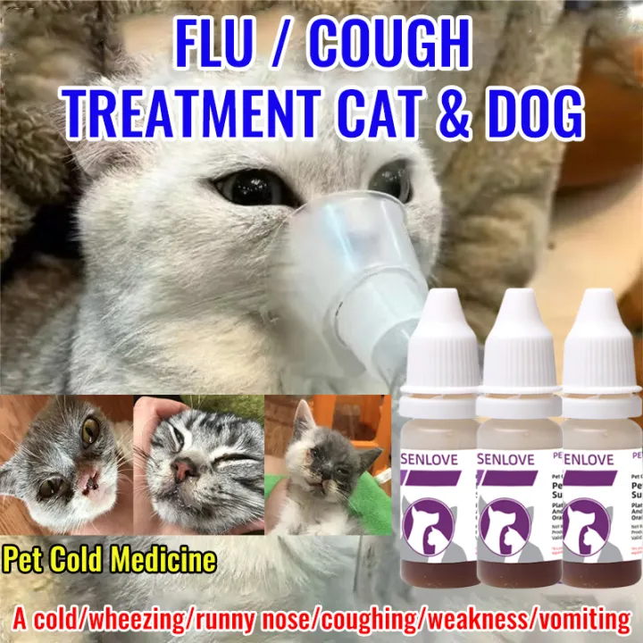 Fever What Can You Give A Cat That Has A Cold Fever In Cats