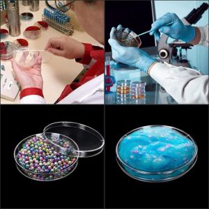 10Pcs/Set 60mm 90mm Plastic Clear Petri Dish with Lid Disposable for Scientific Chemical Industry