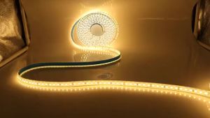 WH 5M 12V LED Light Strips 8MM PCB Flexible Tape Rope Backlight 120LEDs Ribbon Lamp Warm White
