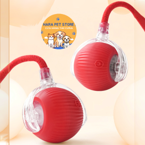 Đồ chơi Mèo quả bóng dây lăn tự động cổng sạc USB (mẫu mới) - Hara Pet Store