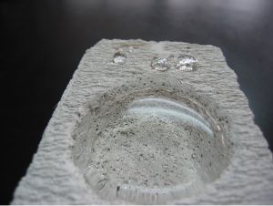 WARRIOR W-4 WATER REPELLENT 100% concentrated waterproofing solution for toilet water leaking floor DIY repair at home