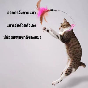 😻ของเล่น ของเล่นแมว ไม้ตกแมว ไม้ล่อแมว ปลอกคอแมว ของเล่นล่อแมว ขนนก แบบปุ่มดูดสุญญากาศ ไม้ตกแมว ไม้แหย่แมว สําหรับแมว