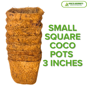ARNETH COCO POTS  10PCS / NATURAL COCO FIBER POTS / SQUARE ROUND CUTE POTS FOR CACTUS AND SUCCULENTS