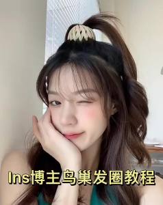 I&U Disk Hair Bird Nest Bun Maker Ponytail Buckle Velvet Hair Claw Women Hair Clips Meatball Head Hair
