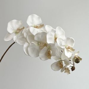 NOCASE 10 Heads Artificial Butterfly Orchid Iron Wire Inner Lining Real Touch Fake Phalaenopsis Lifelike Multi Color Simulation Flower Home Decor
