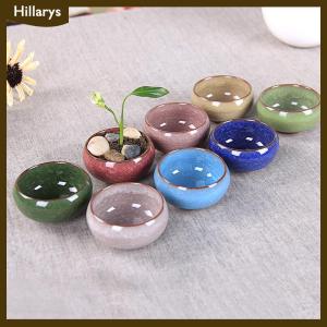 [Hillarys] Cute Ice-Crack Glaze Flower s Succulent Planter Mini Plant Pot Home Decor