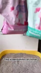 【4KG/8KG】 Bentonite Cat Litter Premium Cat Litter Sand Eliminates Odor Lavender/Lemon/Coffee 4 Scent