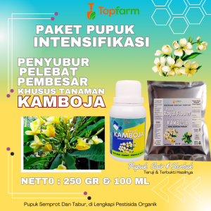 Pupuk Untuk Bunga Kamboja / Pupuk Kamboja / Pupuk Bunga Kamboja Japan / Pupuk Tanaman Bunga Kamboja / Pupuk Bunga Kamboja
