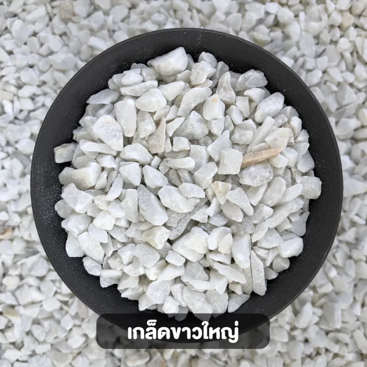 หินเกล็ดขาวเบอร์ใหญ่ 250 กรัม สำหรับโรยหน้ากระถางและจัดสวนถาด
