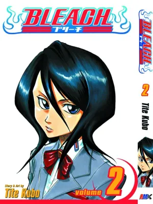 Vol. 2 English Manga Bleach Japanese Manga English Version Physical Book Hardcopy