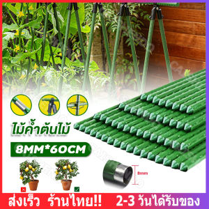 [ส่งจากกทม]ไม้ค้ำต้นไม้ เสาค้ำต้นไม้ หลักไม้เลื้อย เสาไม้เลื้อย ไม้ค้ำยันต้นไม้  10/5/1 แท่งในห่อ ยาว 60ซม. หนา 8มม.(รังบวบ ชั้นวางมะเขือเทศ ซุ้มกุหลาบ เสามะเขือเทศ ซุ้มไม้เลื้อย ชั้นวางแตงโม ชั้นวางฟักทอง ซุ้มไม้ดอก)