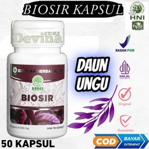 Biosir Kapsul Herbal HNI HPAI - Daun Wungu Asli - Obat Ambeien -- Wasir - Bab Berdarah - Susah Bab