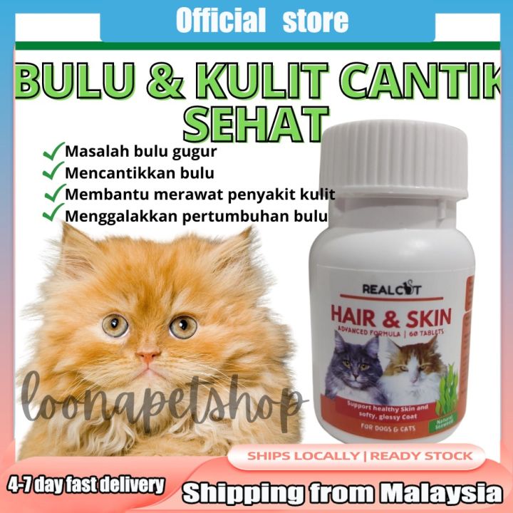 Vitamin Kucing Ubat Bulu Gugur Cat Supplement Skin Hair Coat Cantikkan  Seaweed 60 tablet