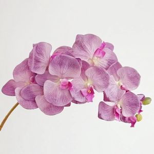 BENYTRO 10 Heads Artificial Butterfly Orchid Iron Wire Inner Lining Real Touch Fake Phalaenopsis Flower Lifelike 98cm Silk Flower Home Decor