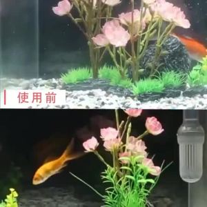 Sunsun Aquarium Filter Aqurium HW-603B & LW-603B: Complete Guide