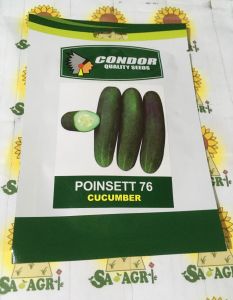 POINSETT 76 CUCUMBER SEEDS (3g) by Condor