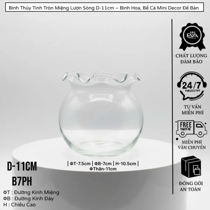 B%C3%ACnh%20Th%E1%BB%A7y%20Tinh%20Tr%C3%B2n%20Trong%20Su%E1%BB%91t%20D11cm%20B7%20%E2%80%93%20C%E1%BA%AFm%20Hoa,%20Nu%C3%B4i%20C%C3%A1%20Mini,%20Decor%20Nh%C3%A0%20C%E1%BB%ADa%20-%20Image%203
