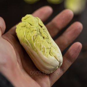 Bắp Cải Thảo-Vật nuôi trà Pét Trà.
