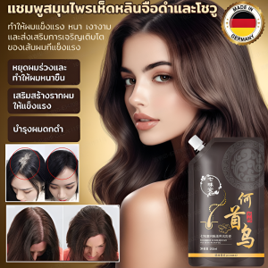 เห็ดหลินจือดำและโพลีโกนัม แชมพูลดผมร่วง ป้องกันรังแค ช่วยผมลื่นดูเงางามส่งเสริมการเจริญเติบโตของเส้นผม