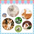 Kit Dandanan Arnab, Berus Arnab untuk Menumpahkan dengan Gunting Kuku Arnab, Pemangkas Kuku Arnab dengan Sikat Haiwan Peliharaan untuk Hamster Guinea Pig Ferret oleh KALAMANDA(6 Pek). 