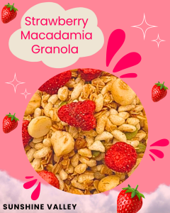 Strawberry Macadamia Granola I Granola Strawberi Macadamia I Healthy Breakfast Snack I Cereals I Ready To Eat