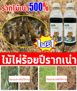 สารกำจัดวัชพืชกลูโฟซิเนตแอมโมเนียมที่มีฤทธิ์แรง วัชพืชในไร่นาที่รกร้าง วัชพืชที่ไม่ได้เพาะปลูก สารกำจัดวัชพืชที่มีฤทธิ์แรง ยาฆ่าแมลง 草铵膦除草剂农药