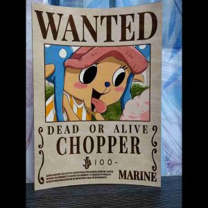 One piece wanted poster 10pcs old and new Bounty (a4 size). Photo paper and photo sticker.