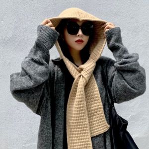 RBRY Knitted Knitted Beanies Hats Thicken Warm Winter Balaclava Caps High Quality Hooded Caps Women