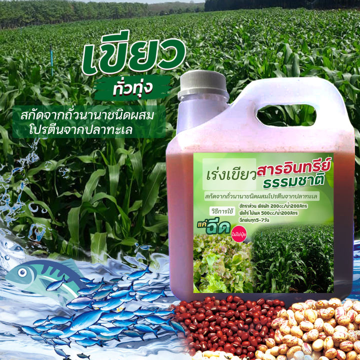 เร่งเขียว สารอินทรีย์ธรรมชาติ 3 ลิตร สูตรเข้มข้น พร้อมธาตุอาหารเสริม