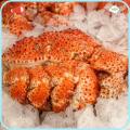 HOT SALE TASTY FROZEN Chilean Snow Crab 智利雪蟹 (400-600g). 
