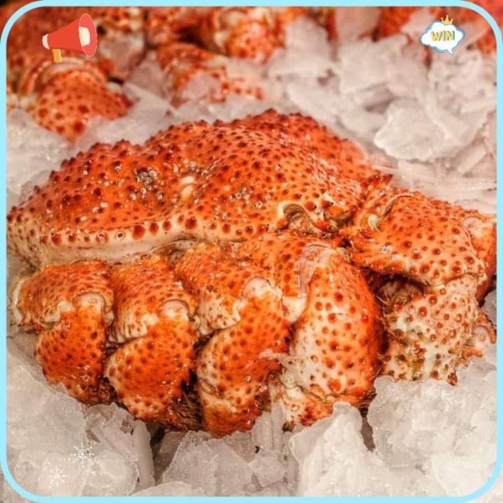 HOT SALE TASTY FROZEN Chilean Snow Crab 智利雪蟹 (400-600g)