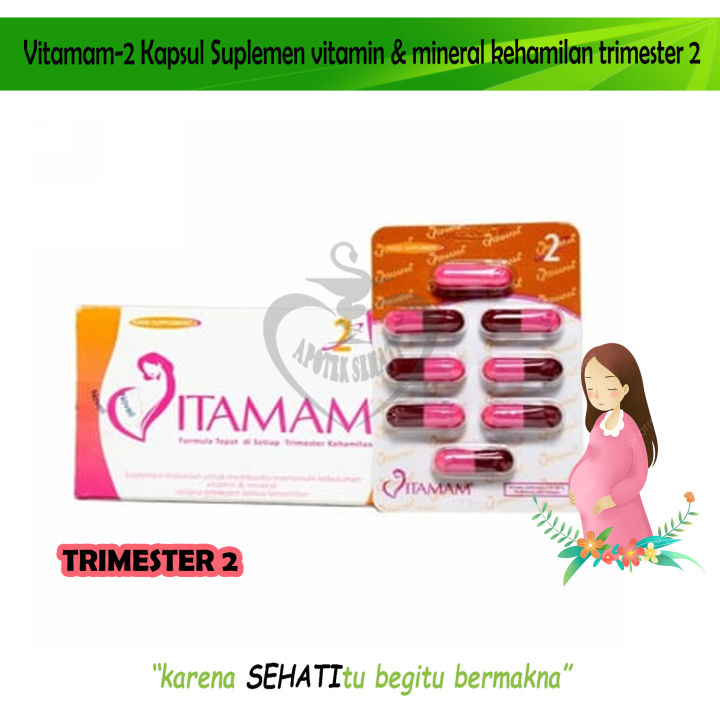 Vitamam 2 Kapsul Multivitamin Kesehatan Ibu Hamil