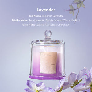 Christmas Gift Scented Candle Soy Wax Candle Gift Set Farewell gift gifts souvenirs Aromatherapy Candle