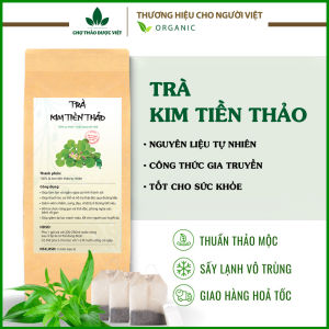 Trà kim tiền thảo túi lọc hỗ trợ sỏi thận sỏi mật lợi tiểu giảm tiểu đêm viêm đường tiết niệu
