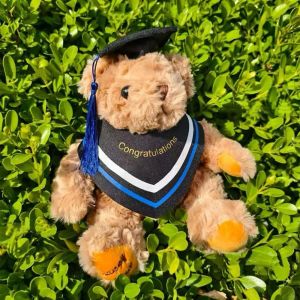 MINIMALUX 20CM Soft Graduation Bear Cute Cartoon Doctor Bear Plush Toy Creative DIY Graduate Plush Dolls Graduation