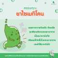 AIR-X แอร์เอ็กซ์ ลดกรดขับลม บรรเทาอาการท้องอืด ท้องเฟ้อ ไซเมธิโคน Simethicone 80 mg. 