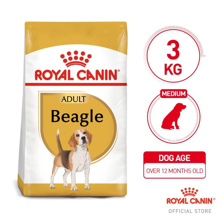 Royal canin shop beagle dog food