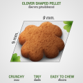 (5 แถม 1kg) Clover สูตร Picky Eater กินยาก กินแน่ สำหรับแมวทานยาก อาหารแมว holistic grain-free ตัวแน่น ถนอมไต. 