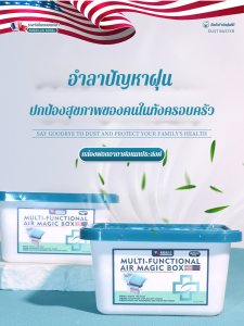 สารฟอกขาวถ่านกัมมันต์ กล่องป้องกันโรคราน้ำค้างช่วยขจัดฝุ่นและอากาศ