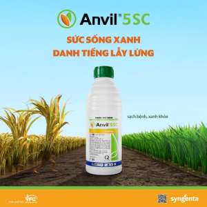 ( Syngenta ) ANVIL 5SC (1Lít) - THUỐC TRỪ BỆNH PHỔ RỘNG - Hàng Hiệu Chính Hãng