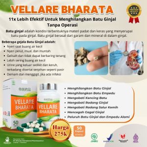 Obat Batu Ginjal & Batu Empedu Paling Ampuh Tanpa Operasi - Vellare Bharata Original Garansi 100% Asli