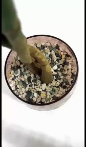 POND MIX – Advanced Substrate Made for Semi-Hydro Plants Mineral Hydroponic Substrate Engineered Root Structure
