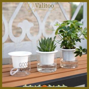 [Valitoo] Lazy Hydroponic Flower Pot Automatic Water-Absorbing Flowerpot Transparent Double Layer Plastic Self Watering Planter Office