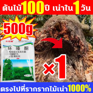100% รากไม้เน่า ยาฆ่าต้นไม้ใหญ500g สร้างมาเพื่อฤดูฝน ผงกำจัดต้นไม้ แค่โรยเพียงเล็กน้อย กำจัดวัชพืชเปิดที่รกราง ยาฆ่าตอต้นไม้ ยากำจัดต้นไม้ใหญ่