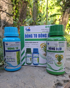 [TRUNG THIEN THINH] ĐÒNG TO BÔNG KẸO HITACO cặp phân bón lá giúp to đòng dài bông lúa nếp