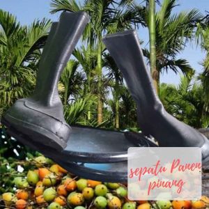 Sepatu panjat pohon pinang kokoh dan anti slip