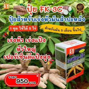 ปุ๋ยน้ำ FK-3C สำหรับมันสำปะหลัง สูตรเร่งการลงหัว หัวใหญ่ เร่งแป้ง น้ำหนักดี เปอร์เซ็นแป้งสูง ทดแทนปุ๋ยเม็ด ลดต้นทุน เพิ่มผลผลิต