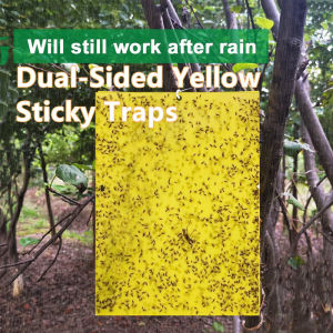 Pelekat serangga Double-Sides Yellow Sticky Trap Flies Trap Insect Stick Strong Sticky Flie Fruit Fly Flies [1 PCS]