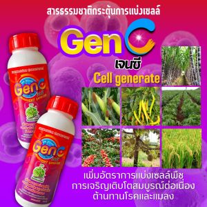 เพิ่มปริมาณเซลล์ในช่วงการเจริญเติบโตทุกช่วงอายุพืช ไคโตซานพืช GenC 2 ขวด ผลิตภัณฑ์ดูแลพืชผักสวนครัวให้เจริญเติบโตสมบูรณืต่อเนื่อง ต้านทานโรคและแมลง